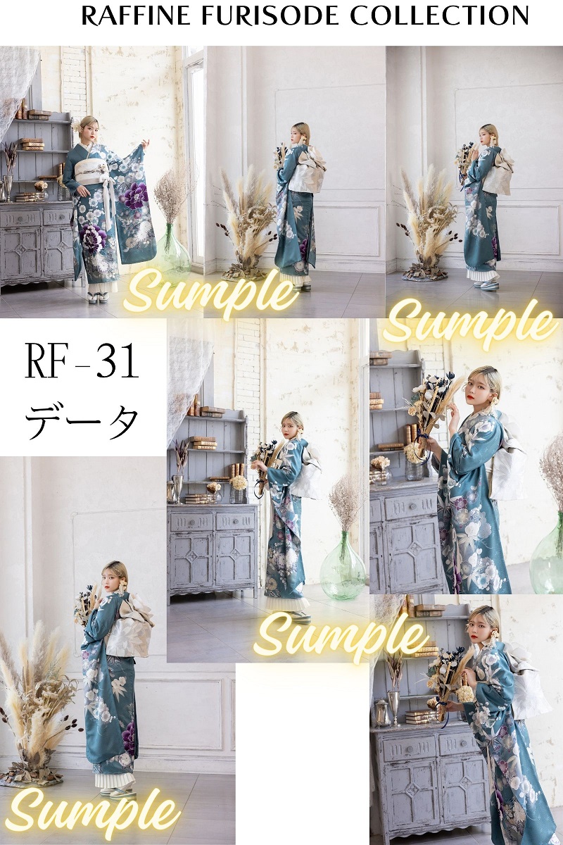 ポジデータ販売-正絹振袖-「ラフィネモカ」9タイプ- - 画像 (2)