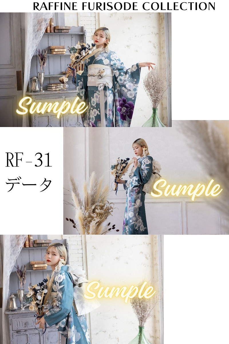 ポジデータ販売-正絹振袖-「ラフィネモカ」9タイプ- - 画像 (3)