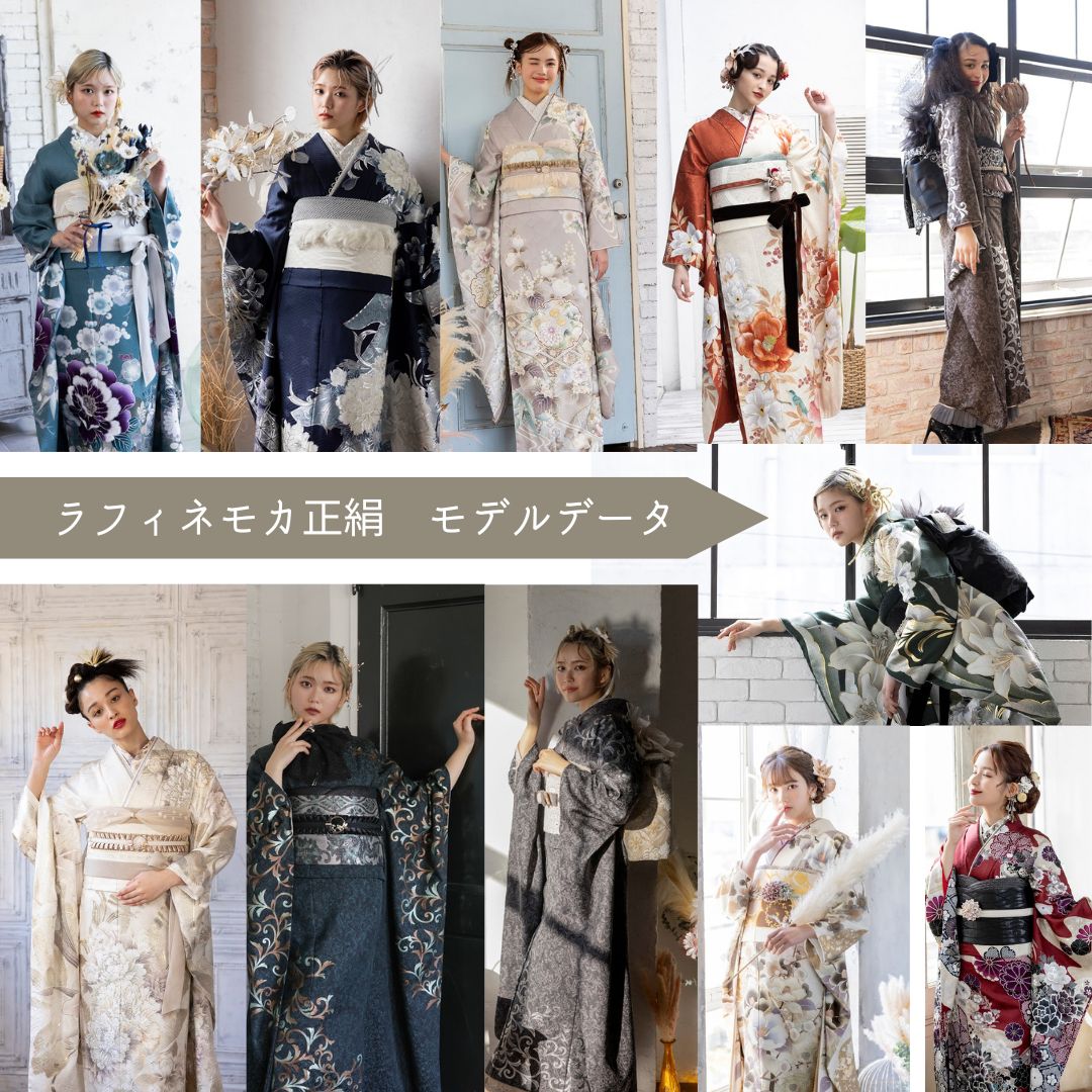 ポジデータ販売-正絹振袖-「ラフィネモカ」9タイプ-