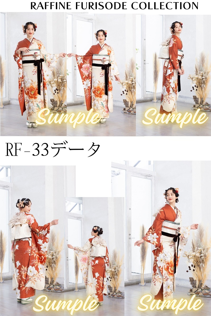 ポジデータ販売-正絹振袖-「ラフィネモカ」9タイプ- - 画像 (6)