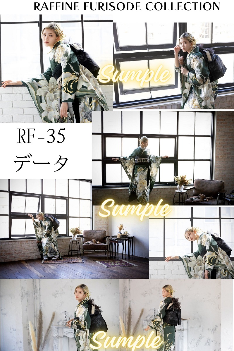 ポジデータ販売-正絹振袖-「ラフィネモカ」9タイプ- - 画像 (11)